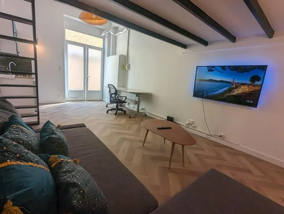 Balneo, Ecran Lcd, Literie 160X200 Apartment Lyon 0*,